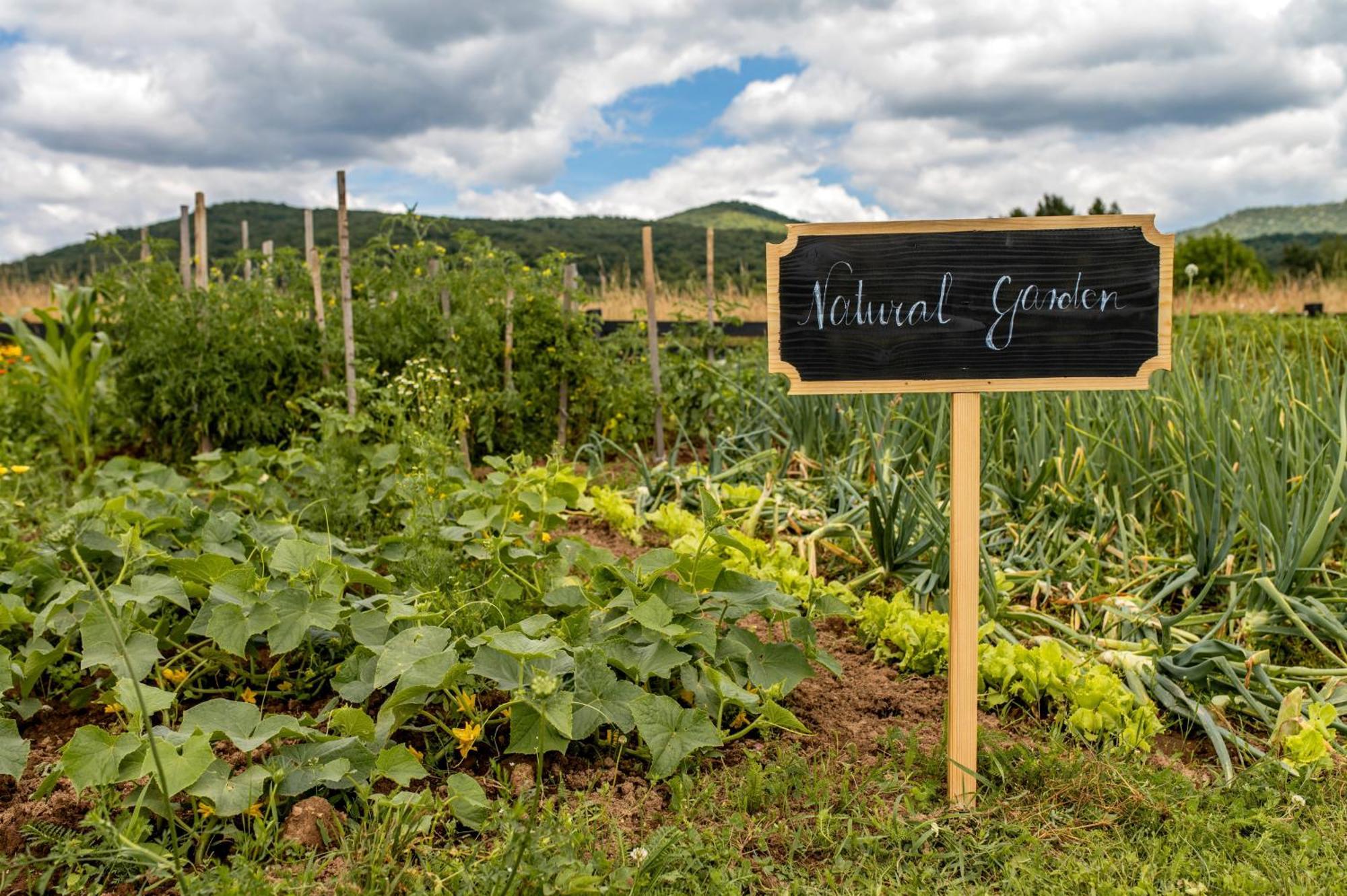 Chalet Velebitska Kuca Velika Plana 外观 照片