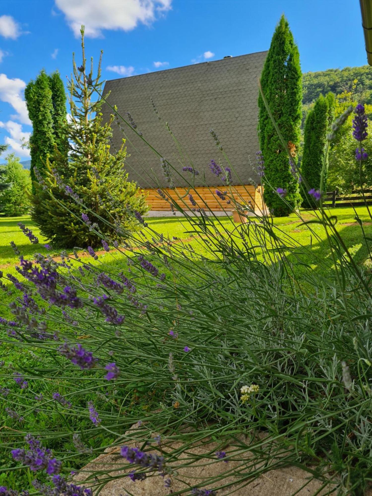 Chalet Velebitska Kuca Velika Plana 外观 照片